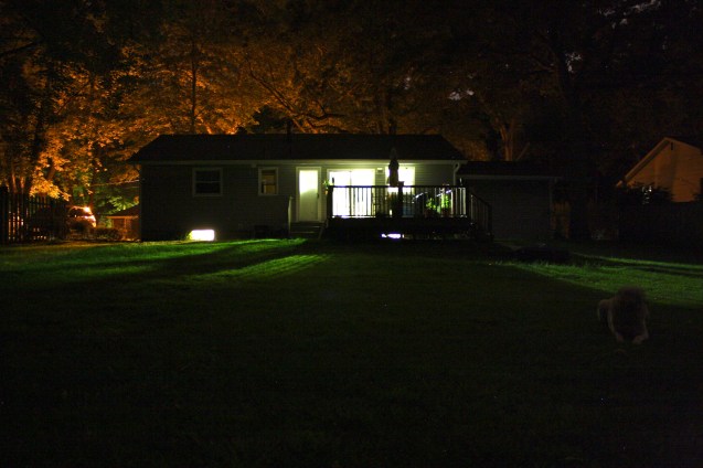 jgclgihtbulbphoto13'