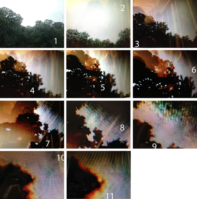 shoot a photograph, photograph it, photograph it, photograph it,photograph it, photograph it,photograph it,photograph itphotographitphotographitphotograaphitphit      (X eleven times)